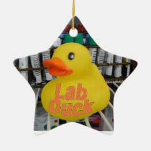 LAB DUCK CHRISTMAS ORNAMENT