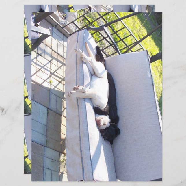 lab group sleeping scrapbook (Front/Back)