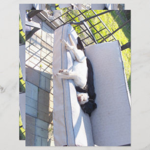 lab group sleeping scrapbook