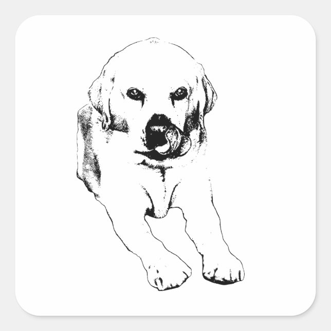 Lab lick, pocket joy square sticker (Front)