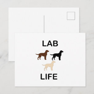 lab life all colours silhouettes postcard