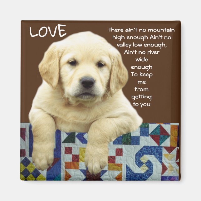 "LAB LOVE" MAGNET (Front)