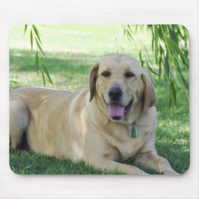 Lab mouse pad (Front)