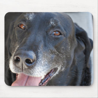 Lab Mousepad