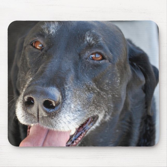 Lab  Mousepad (Front)