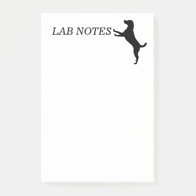 LAB NOTES Notes (Front)