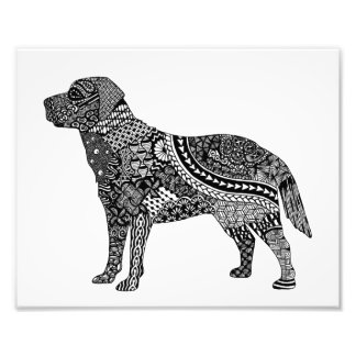 lab print