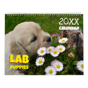 Lab Puppies Labrador Retriever Wall 2025 Calendar