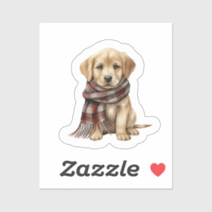 Lab Puppy