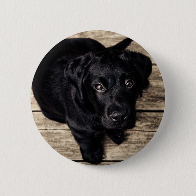 lab puppy 6 cm round badge (Front)