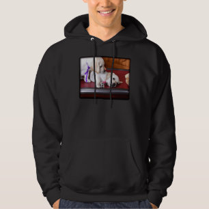 Lab Puppy Looking Down On Brother Hoodie