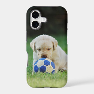 Lab soccer player