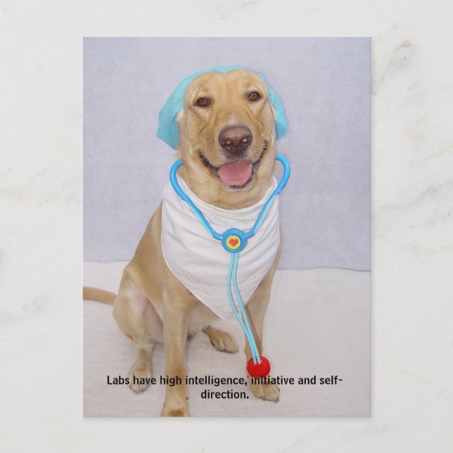 Lab Traits - High Intelligence Postcard (Front)