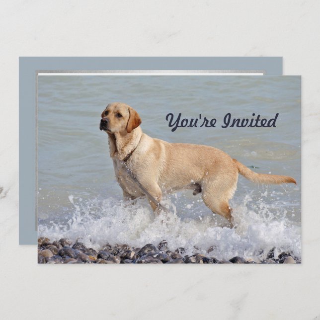 Lab Yellow Dog Water Photo Birthday Invitation (Front/Back)