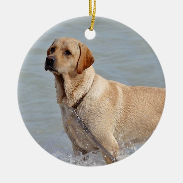Lab Yellow Dog Water Photo Ceramic Tree Decoration (Front)