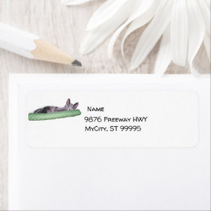 Label - Return - Russian Blue Kitten