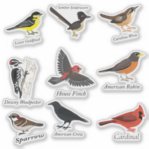 Labelled Backyard Birds Sticker Set
