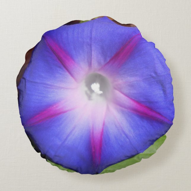 Labille-Guiard Round Cushion (Back)