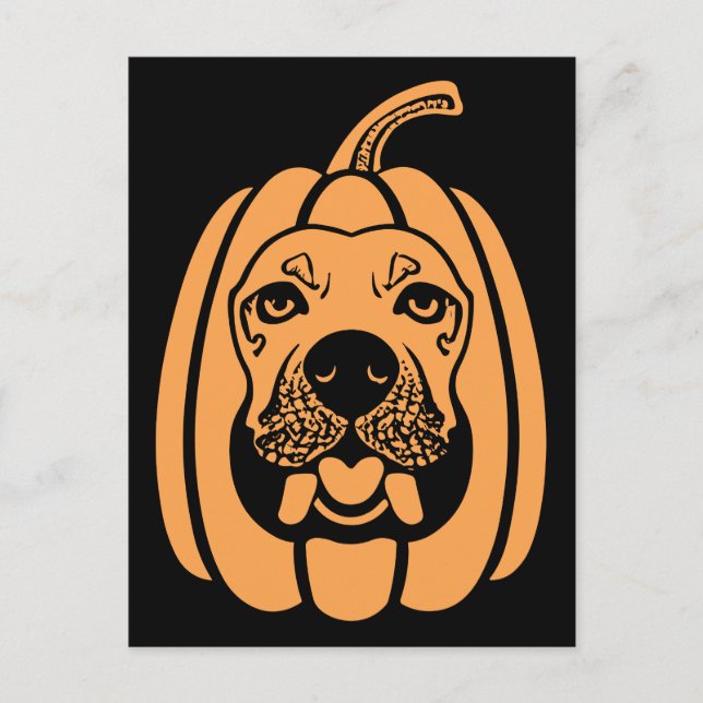 Labkin Dog Pumpkin gravity falls halloween snoopy  Postcard (Front)