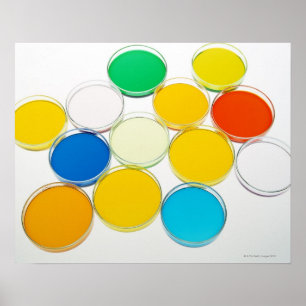 Laboratory Dish 2 Poster