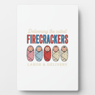 Labour & Delivery Firecrackers Cute Baby Nurse Des Plaque