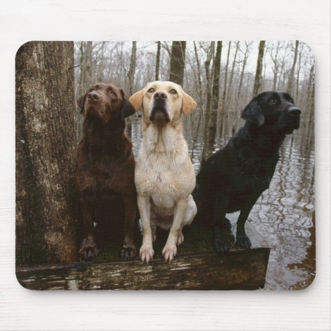 labrado mouse pad (Front)