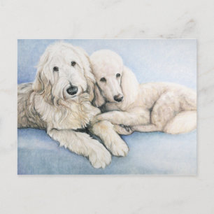 Labradoodle and Standard Poodle Dog Art Postcard