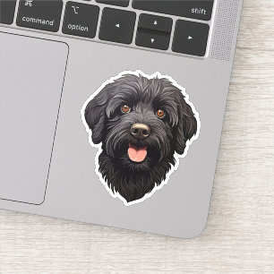 Labradoodle Black Dog