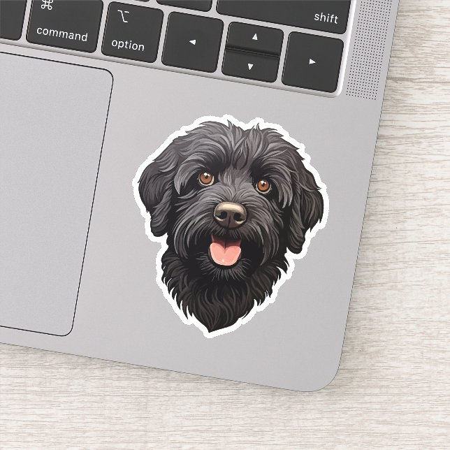 Labradoodle Black Dog (Detail)