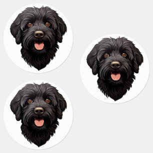Labradoodle Black Dog