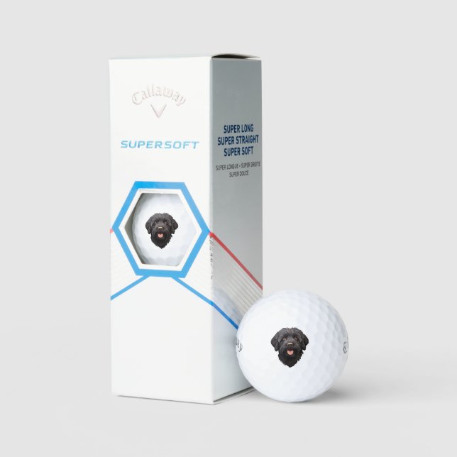 Labradoodle Black Dog Golf Balls (Packaging)