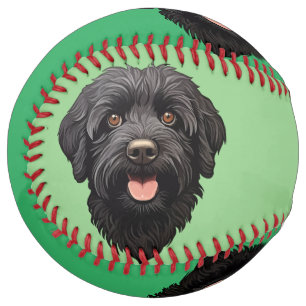 Labradoodle Black Dog Softball