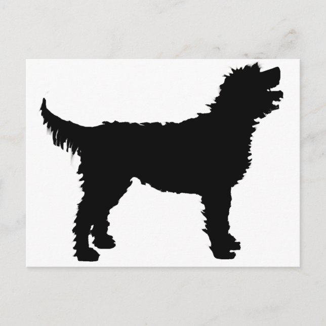 Labradoodle Dog (in black) Postcard (Front)
