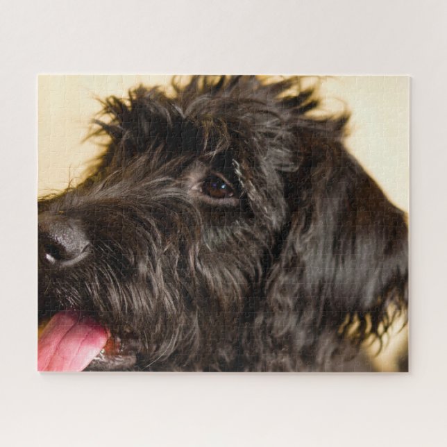 Labradoodle Dog. Jigsaw Puzzle (Horizontal)
