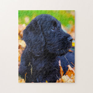 Labradoodle Dog. Jigsaw Puzzle