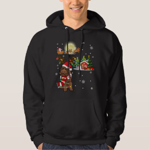 Labradoodle Dog Light Christmas Reindeer Tree Xmas Hoodie
