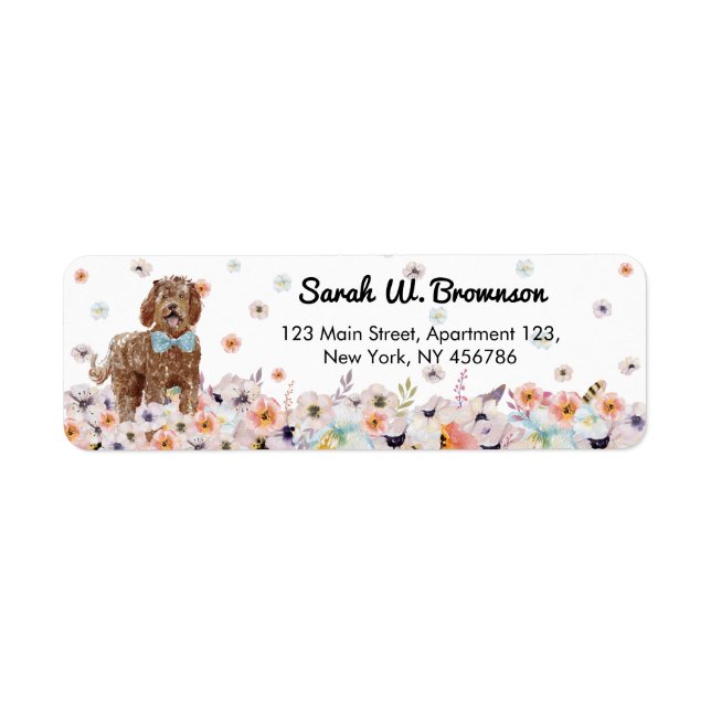 Labradoodle Dog with cute blue bowtie (Front)