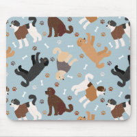 Labradoodle / Goldendoodle Bones and Paws