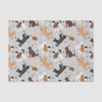 Labradoodle / Goldendoodle Bones and Paws