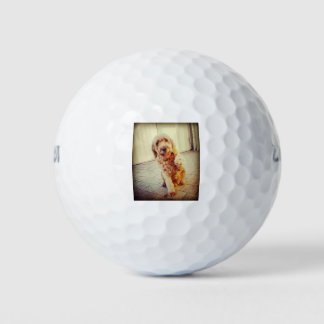 labradoodle golf balls
