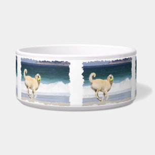 Labradoodle - Happy Day on the Beach