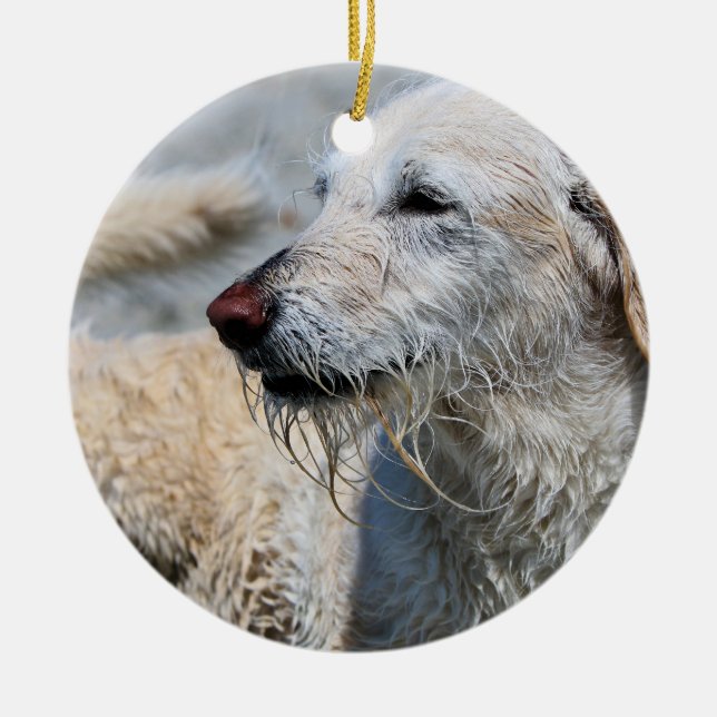 Labradoodle - Izzy Ceramic Tree Decoration (Front)