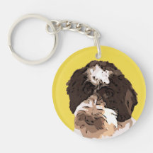 LABRADOODLE