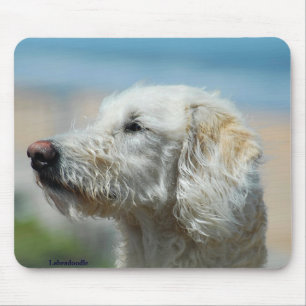Labradoodle Mouse Pad