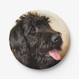 Labradoodle Paper Plates, 7" Plate