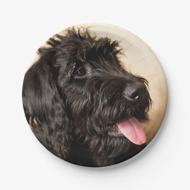 Labradoodle Paper Plates, 7" Plate (Front)