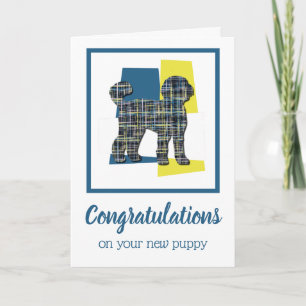 Labradoodle Puppy Dog Congratulations Greeting Card