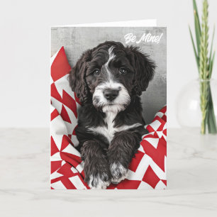Labradoodle Puppy Valentine Card
