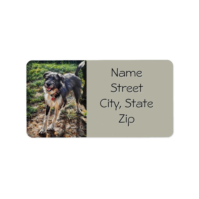Labradoodle Return Address Label (Front)