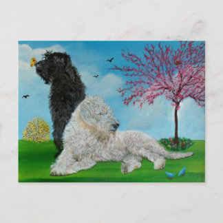 Labradoodle Spring Postcard